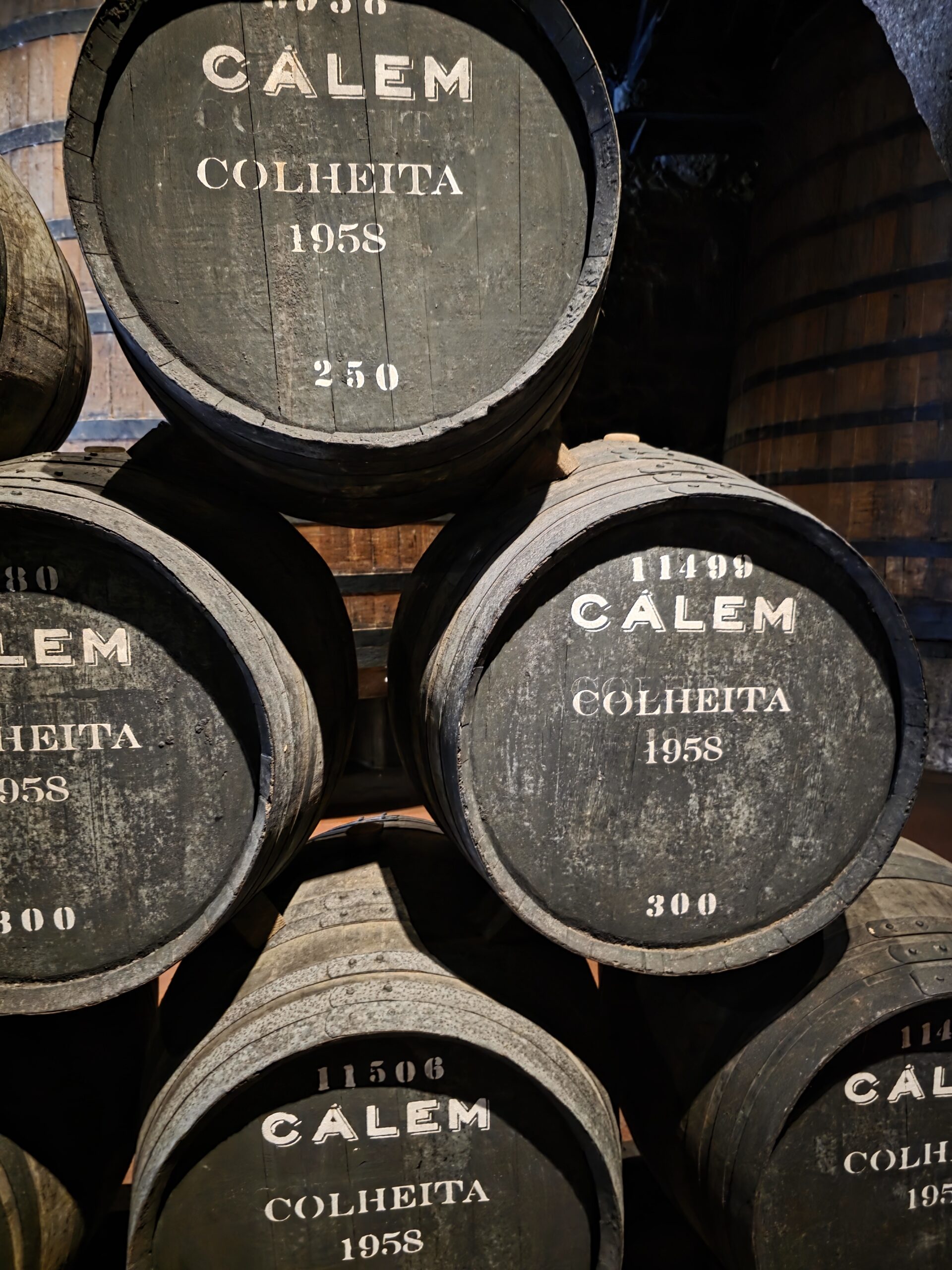Port wine cellar