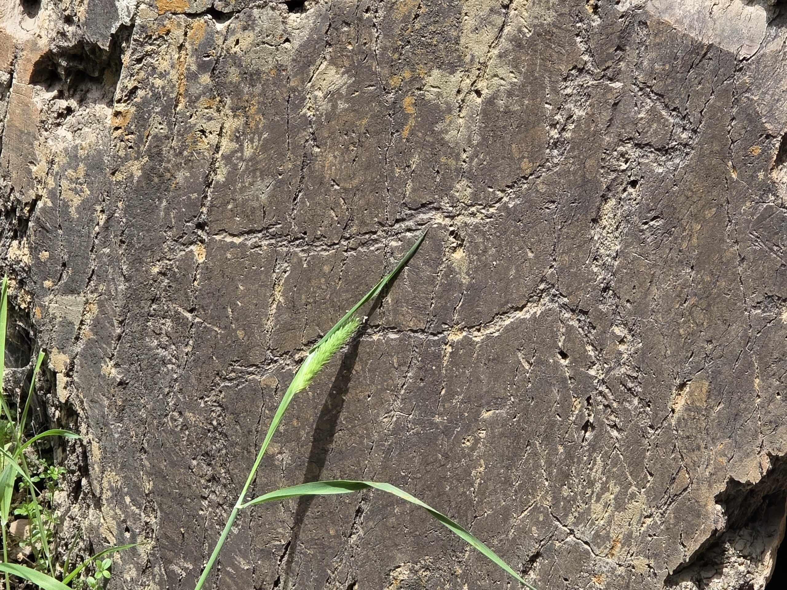 Coz Prehistoric Rock Art
