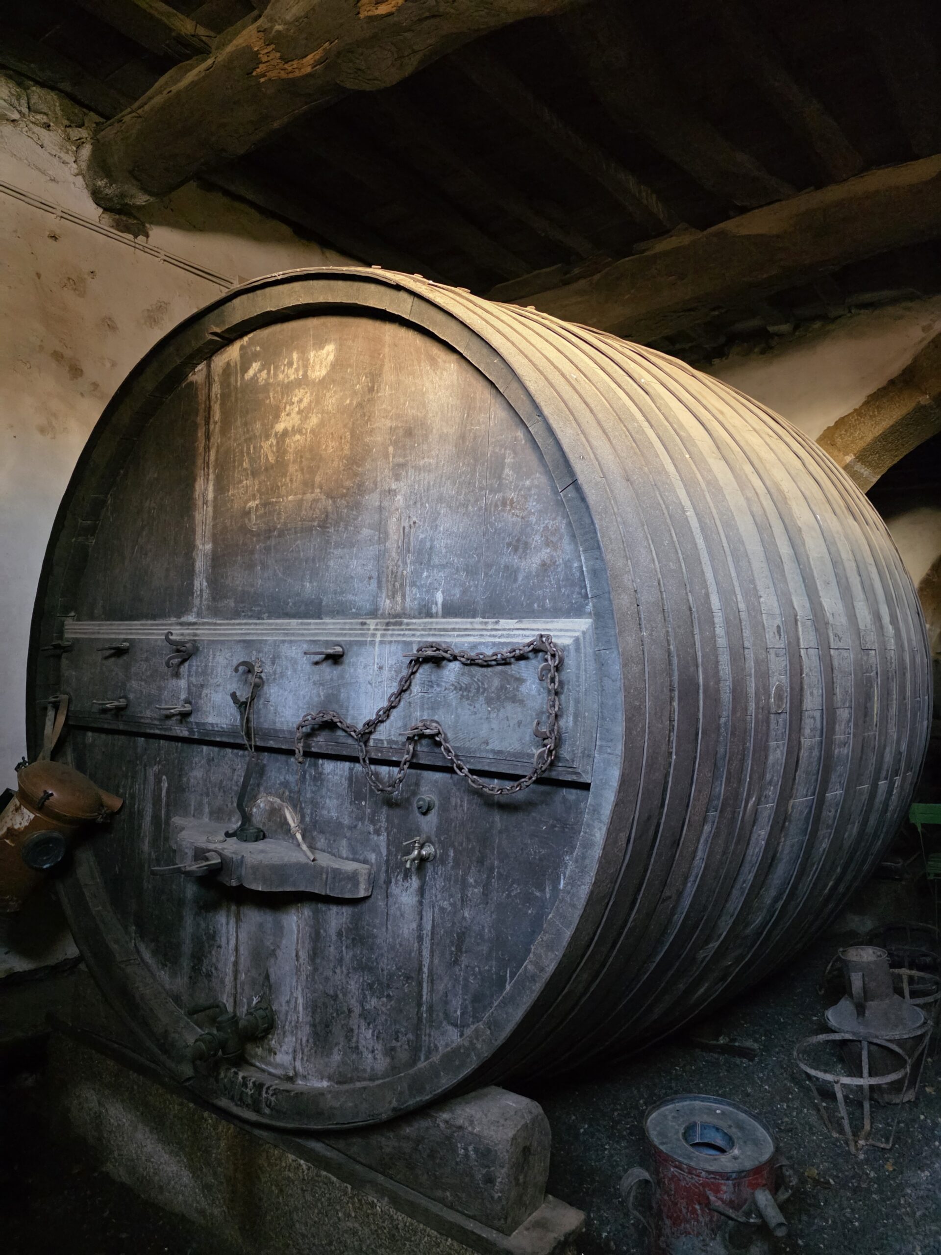 Wine cellar visit