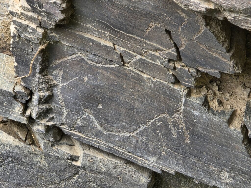 Coa Prehistoric Rock Art