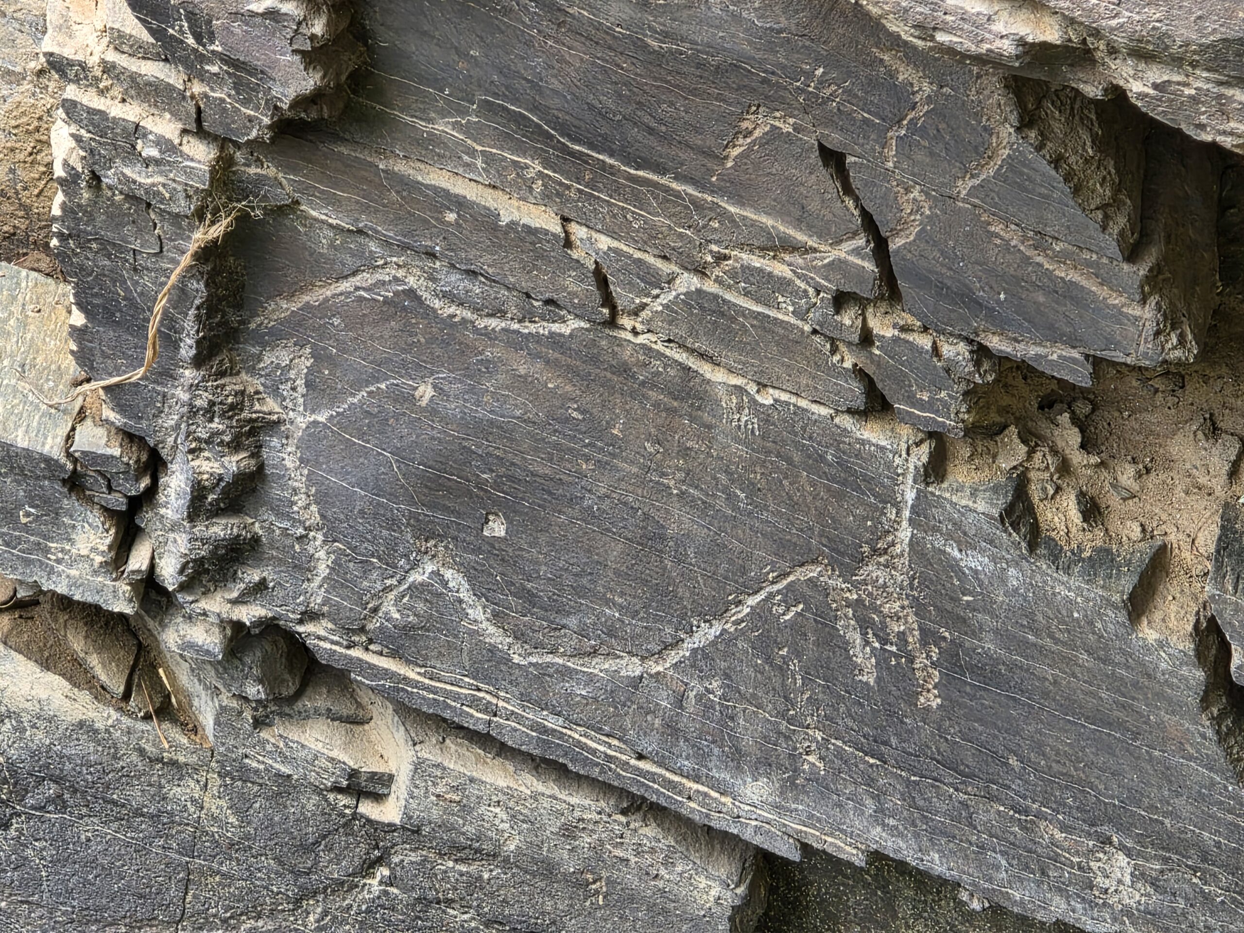 Coa Prehistoric Rock Art