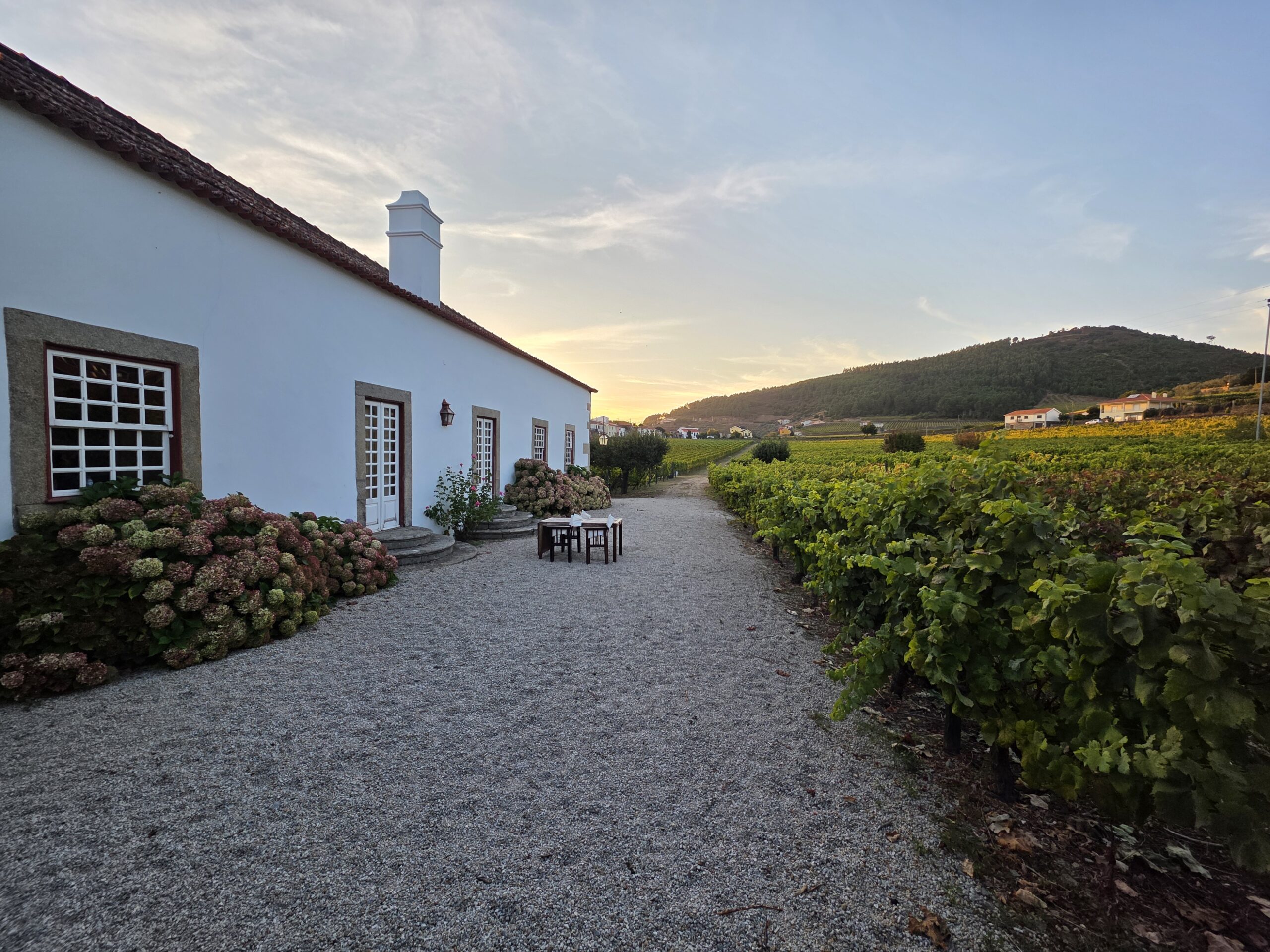 Accommodation