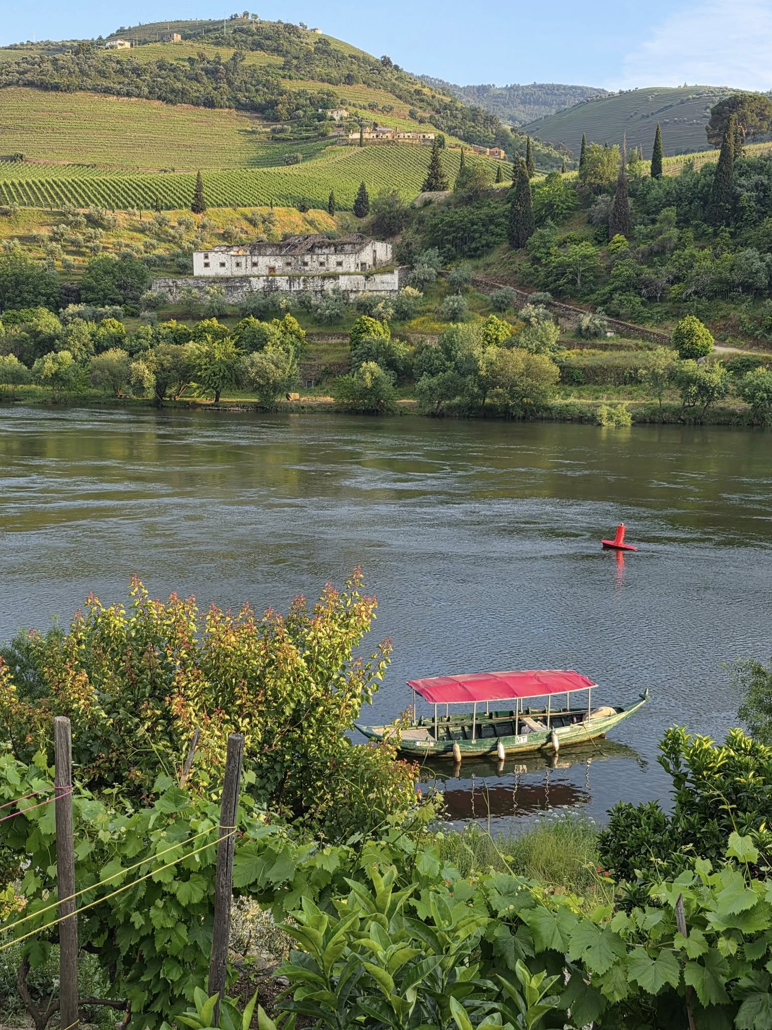 Douro Trip