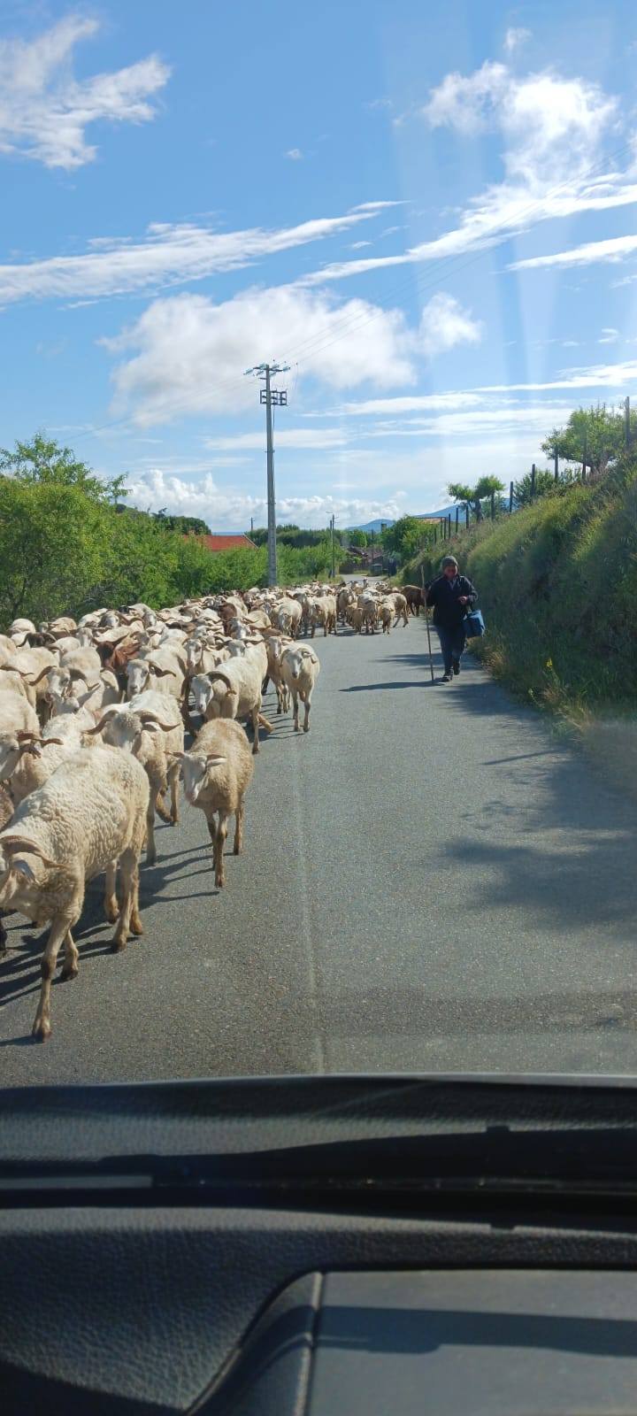 Traffic jam