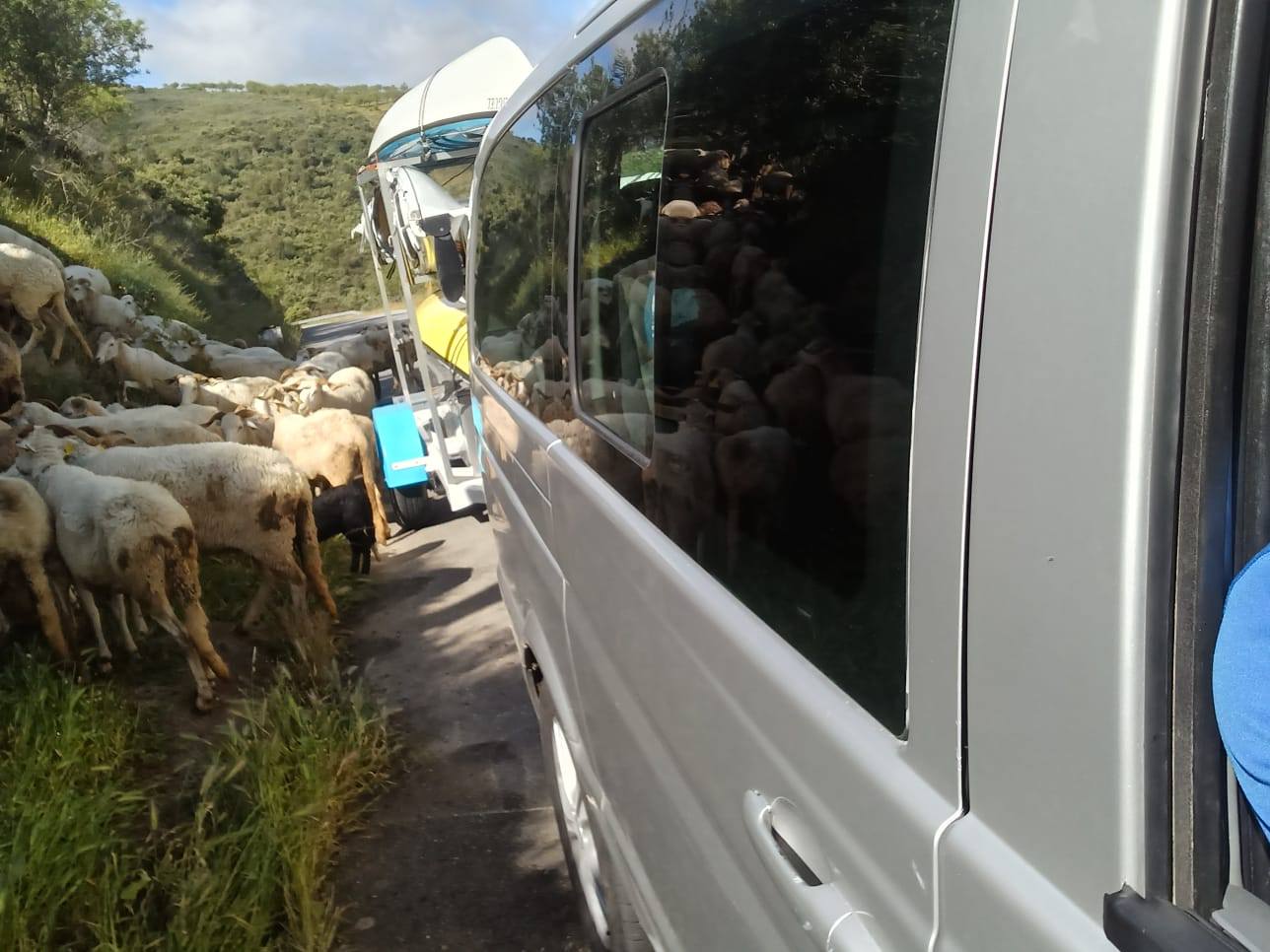 Traffic jam