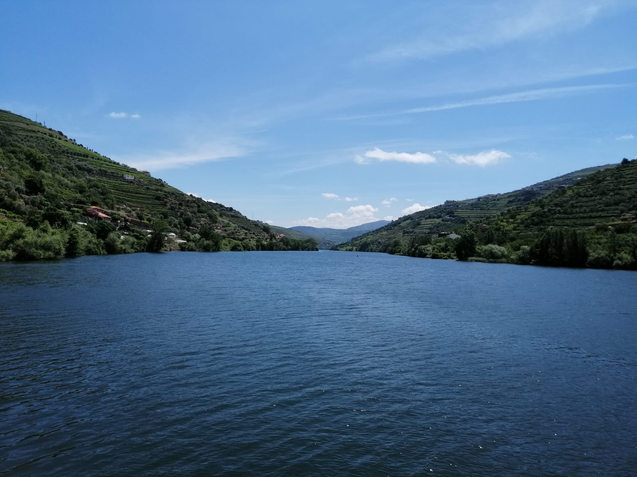 On the river