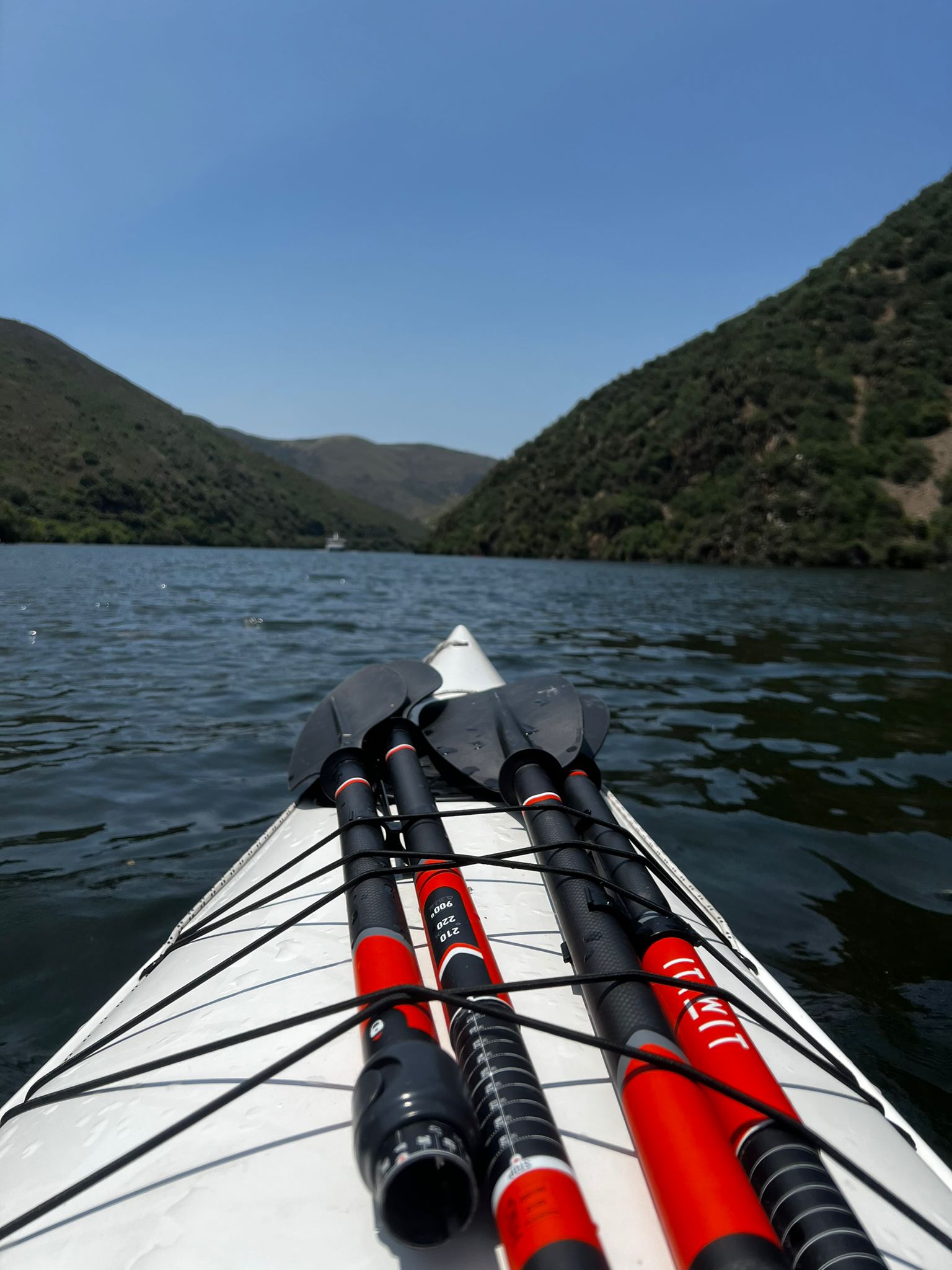 On the river