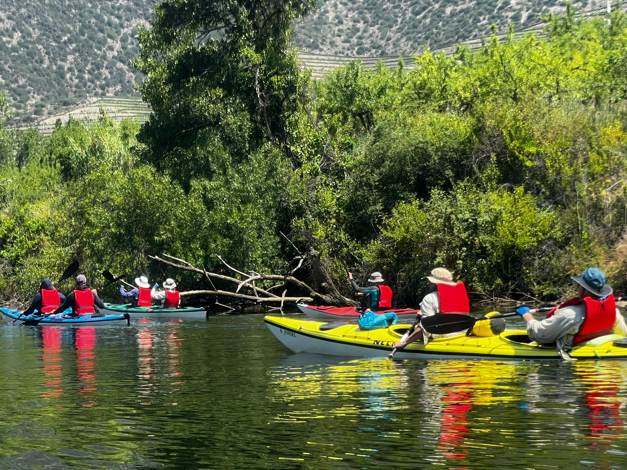 On the river