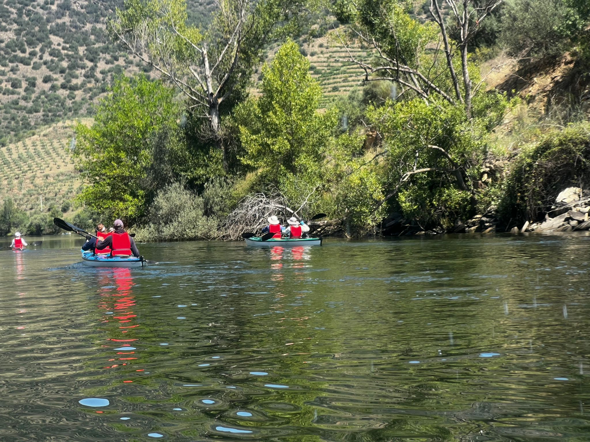 On the river