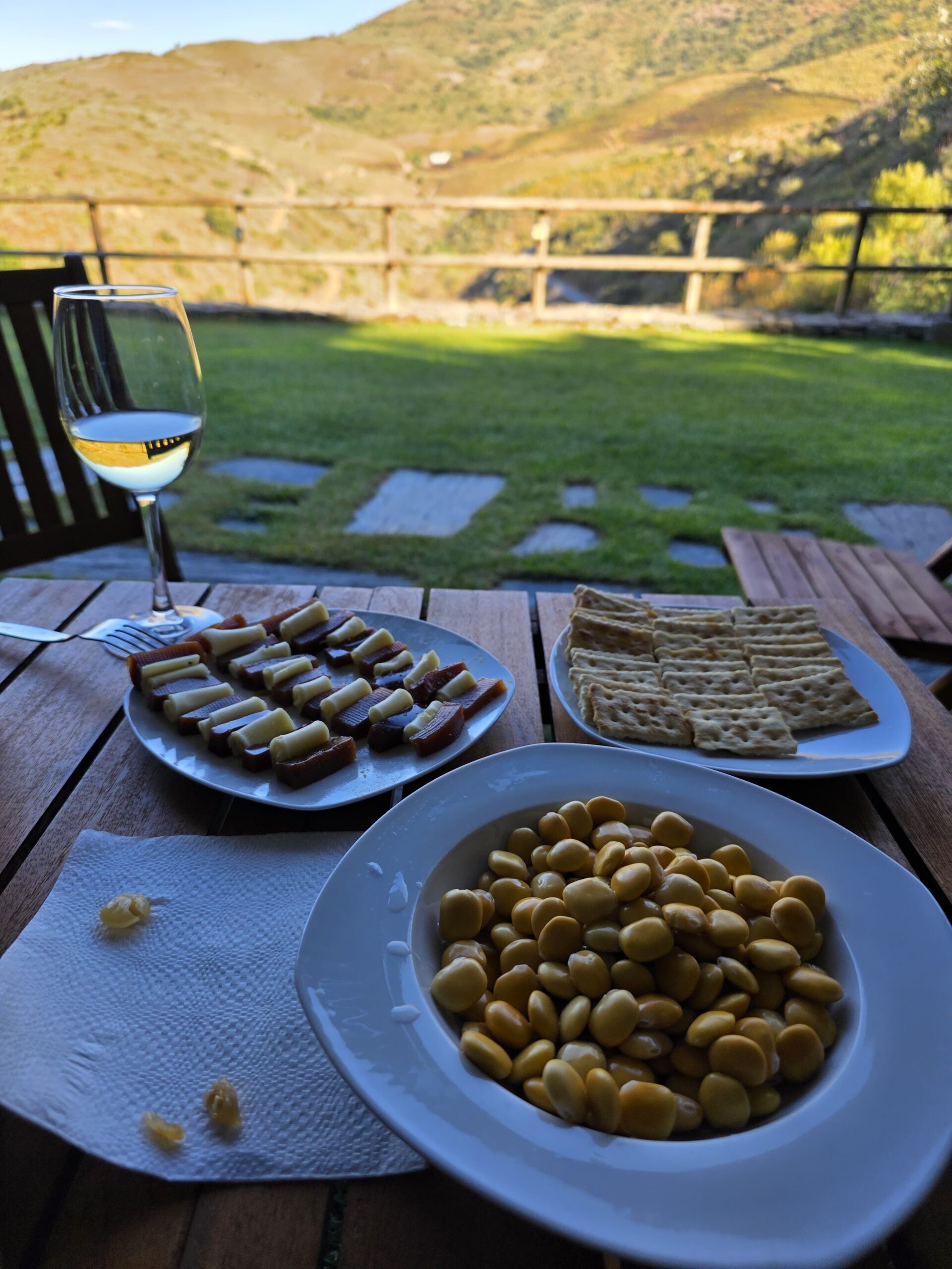Aperitif before dinner