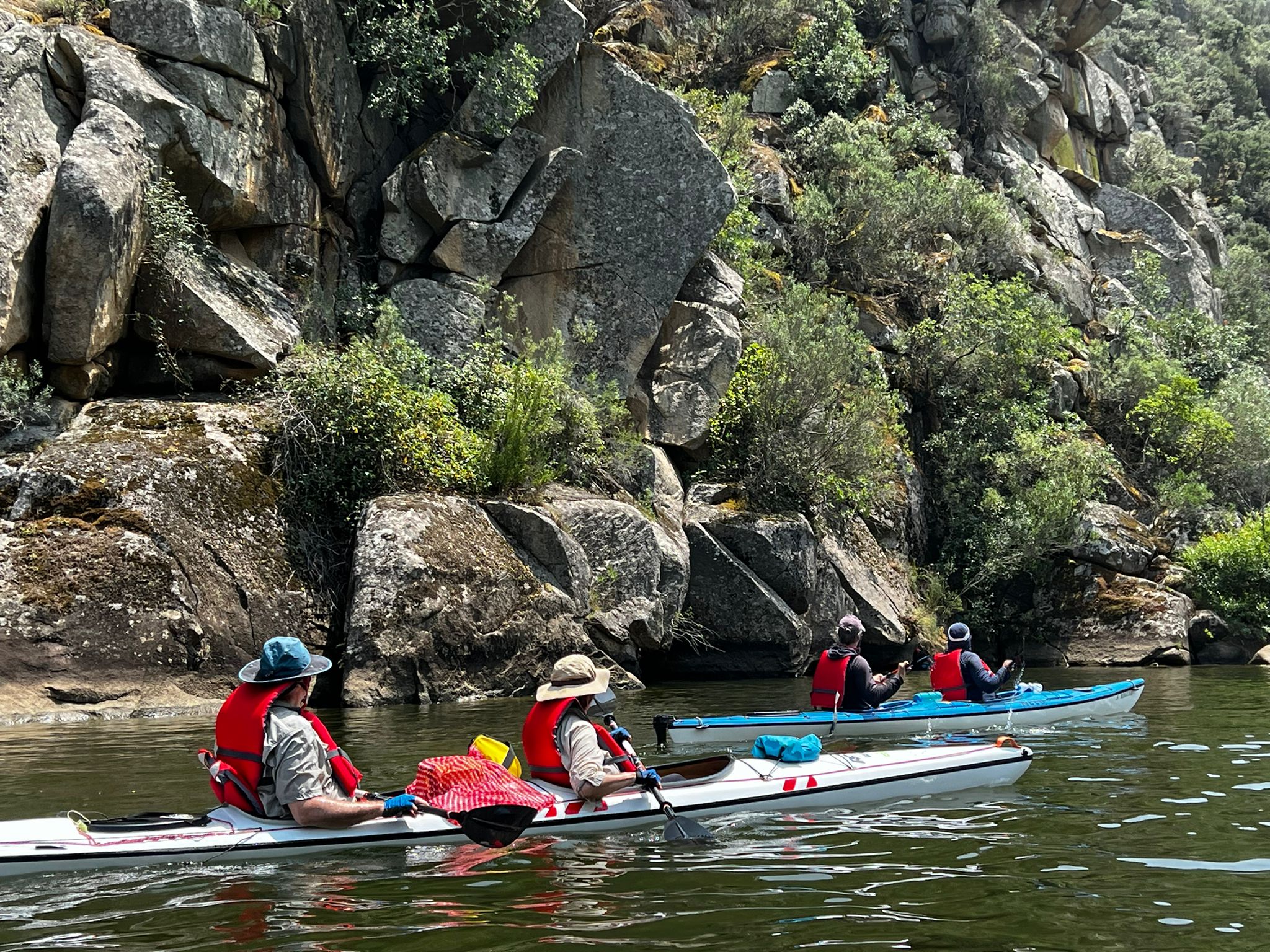 Rocky Cliffs