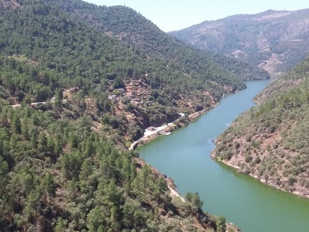 Tamega