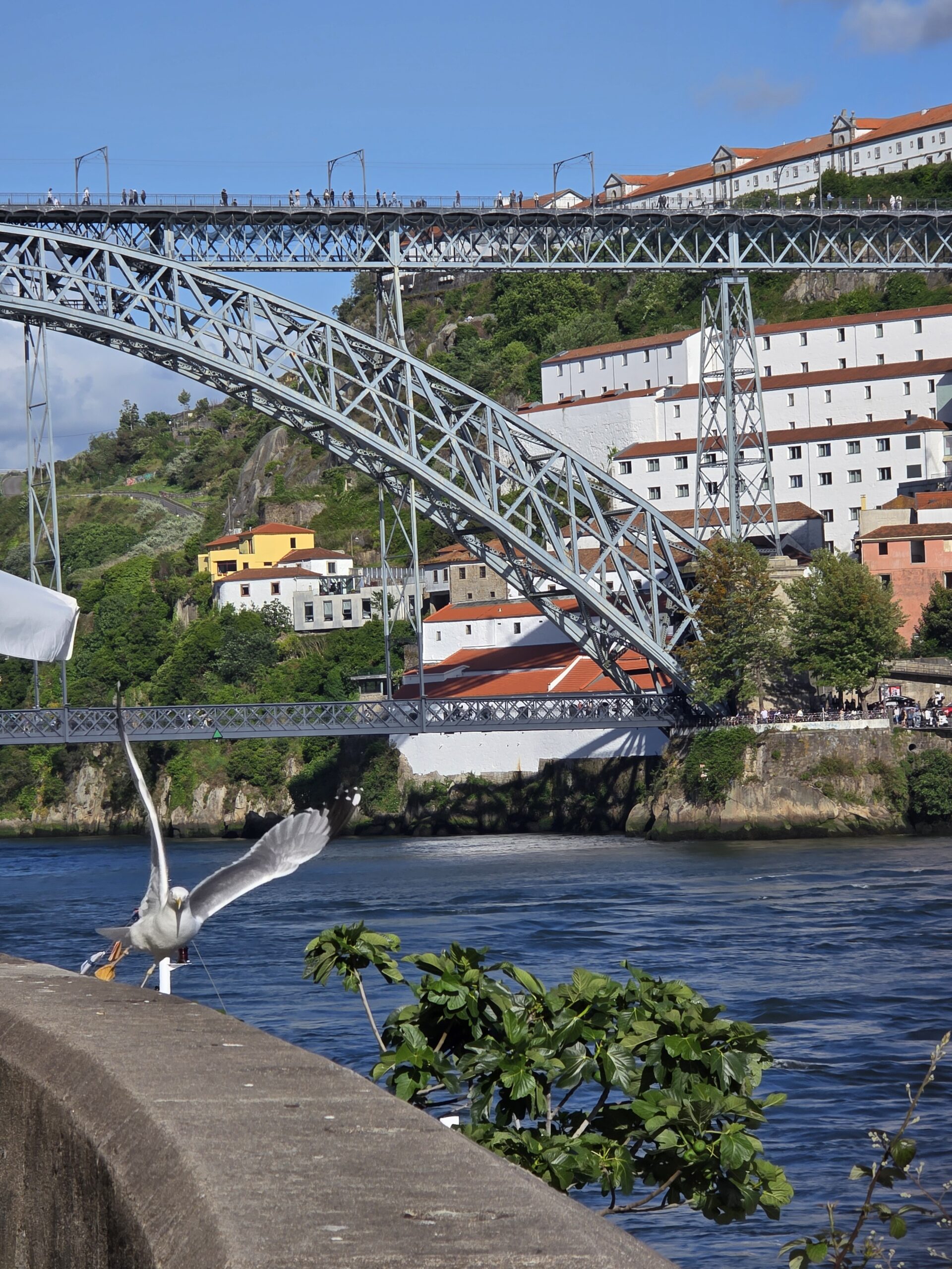 Douro Tour