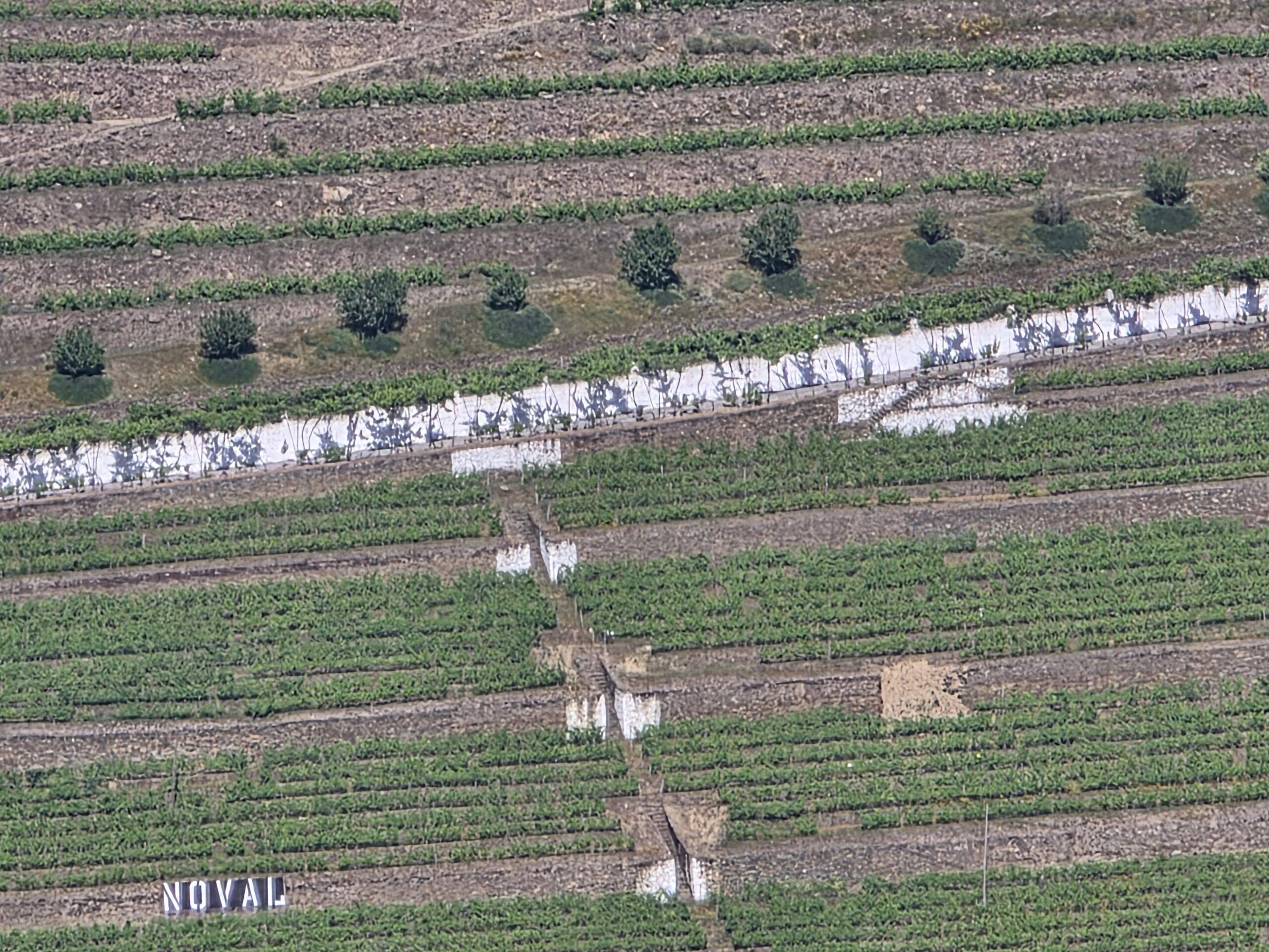 Douro Tour