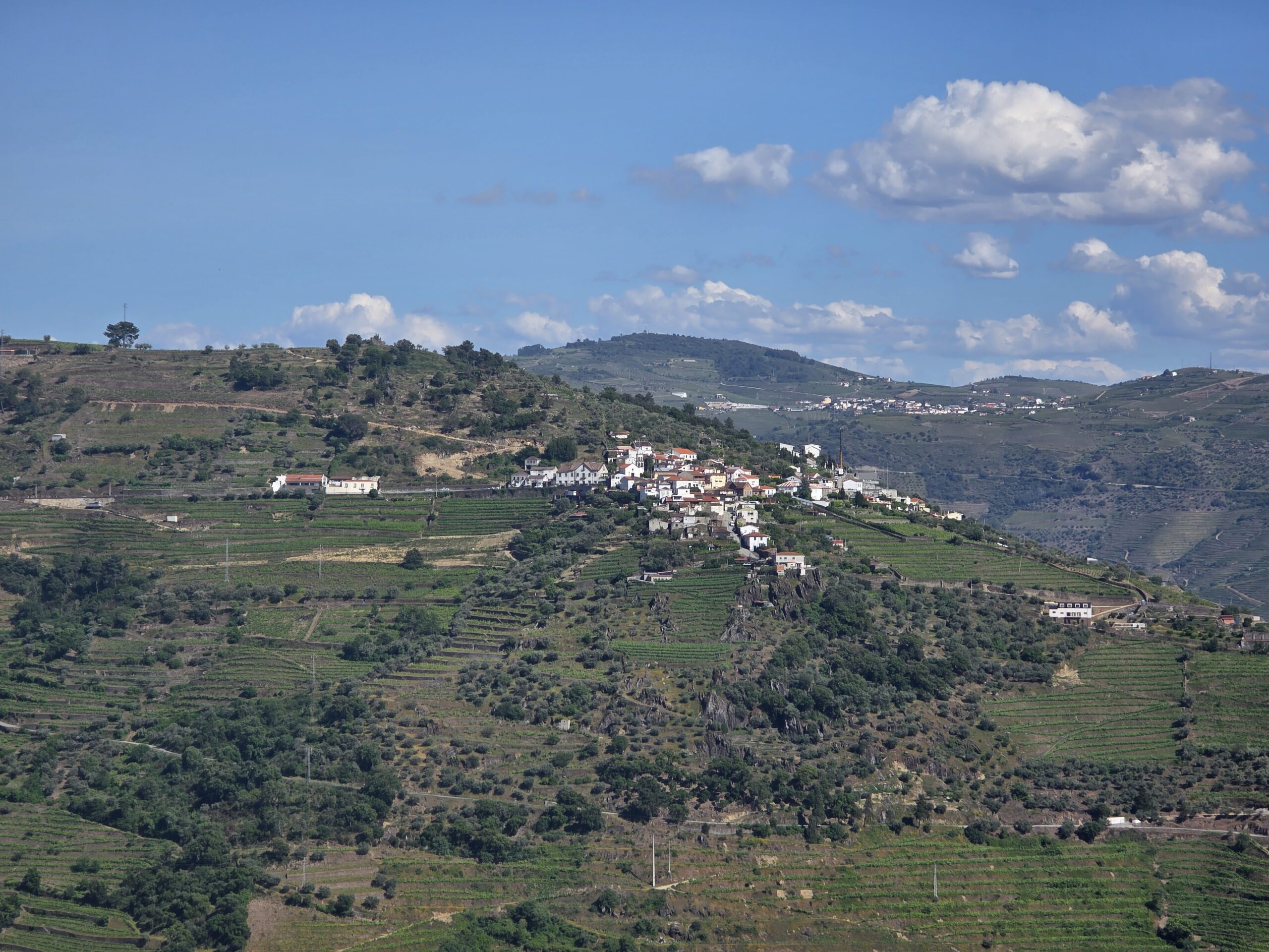 Douro Tour