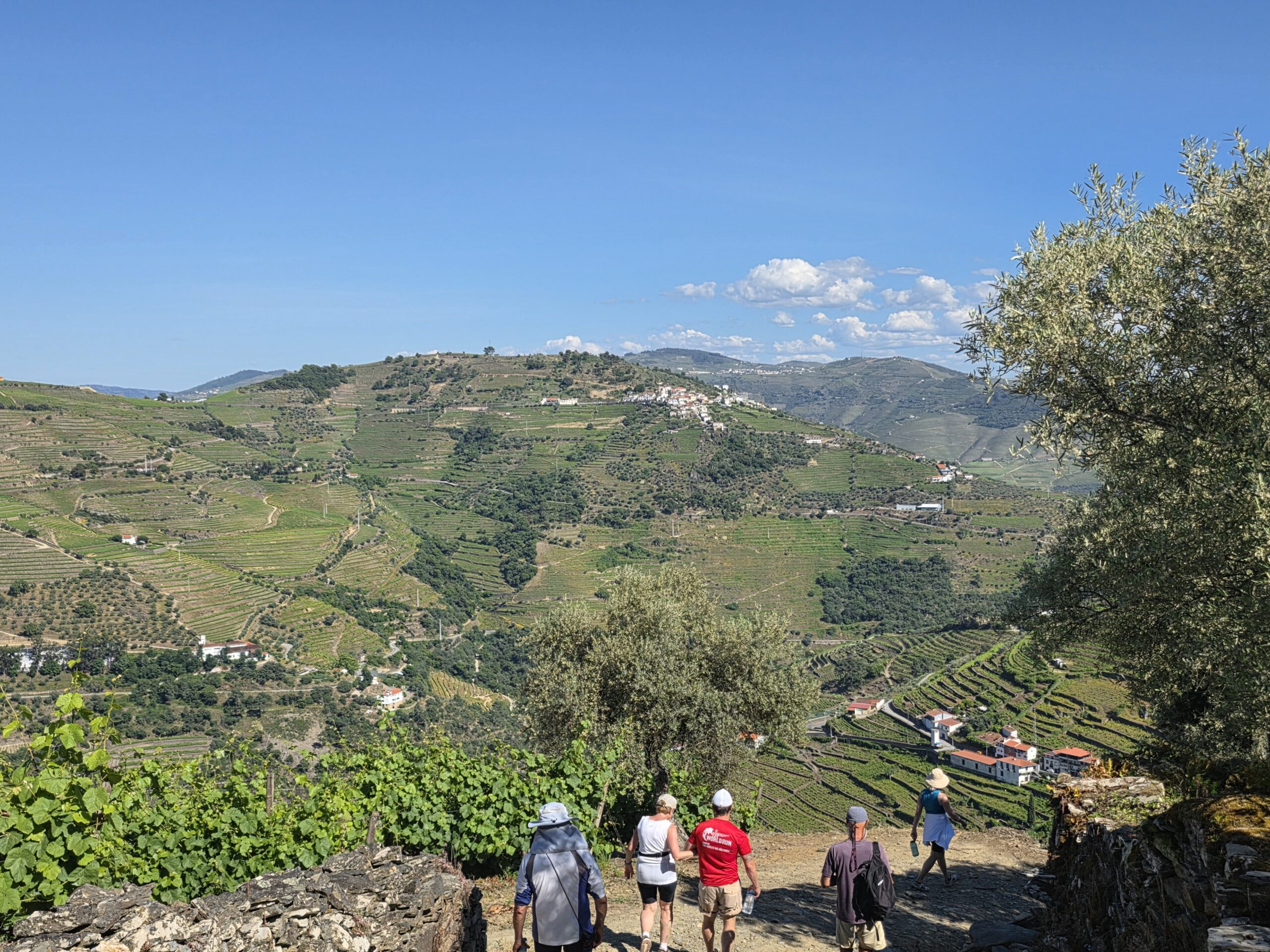 Douro Tour