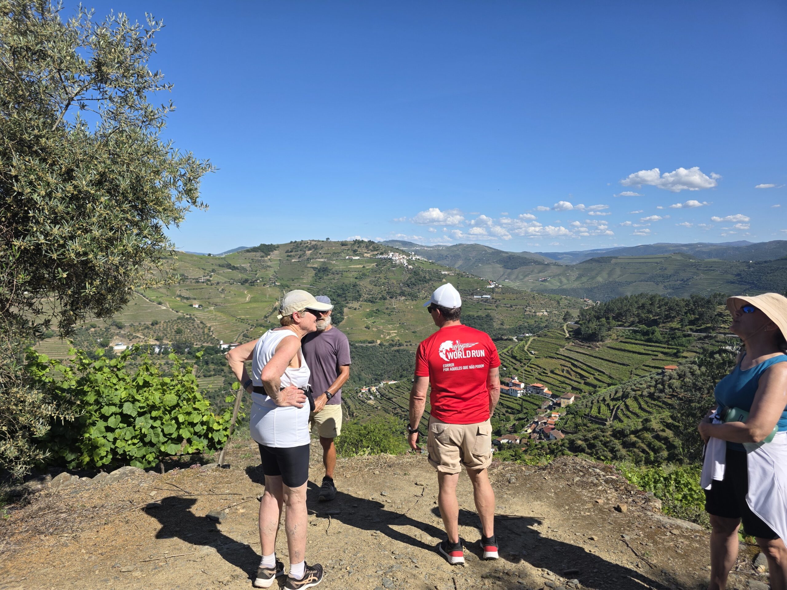 Douro Tour