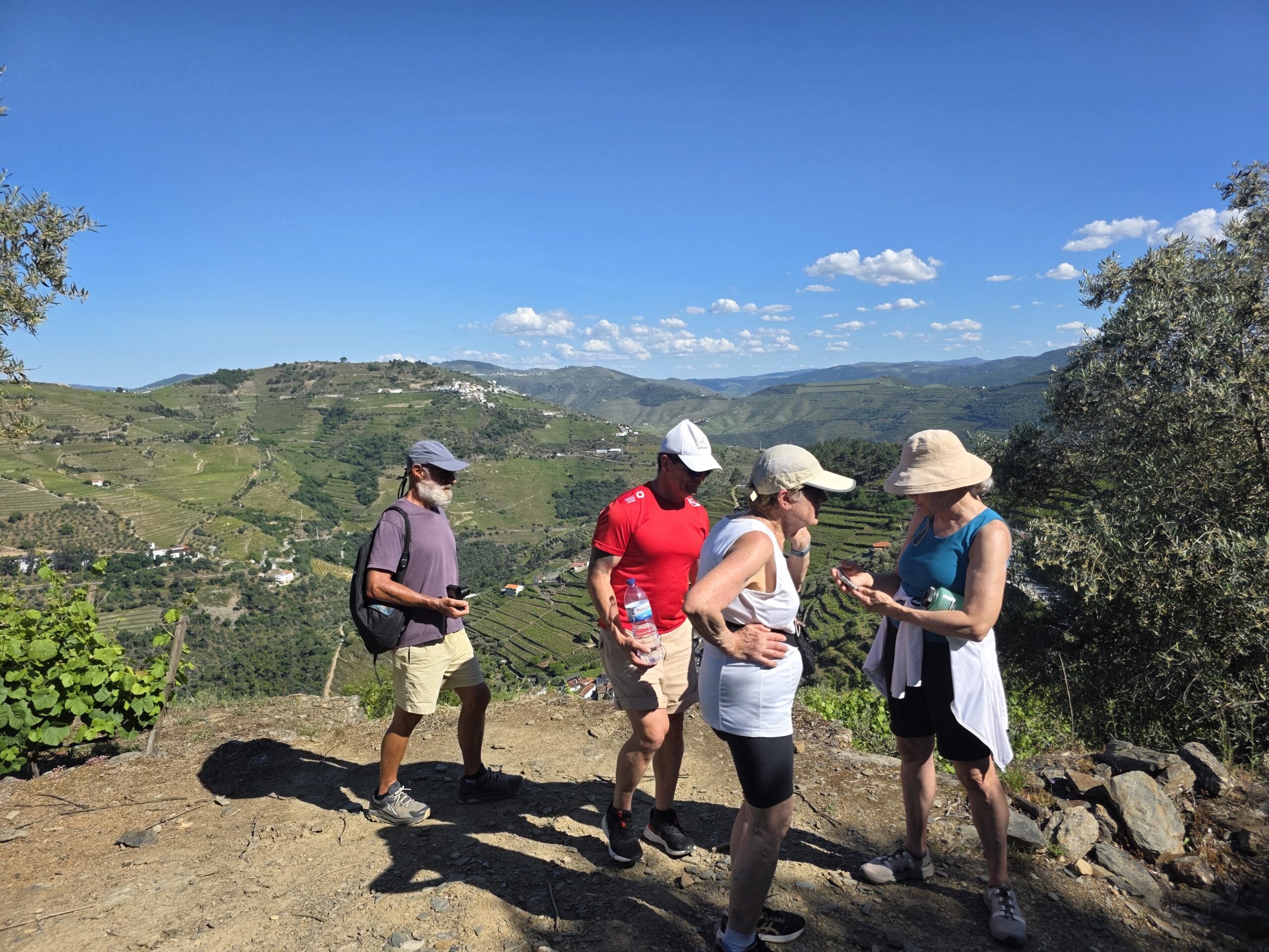 Douro Tour