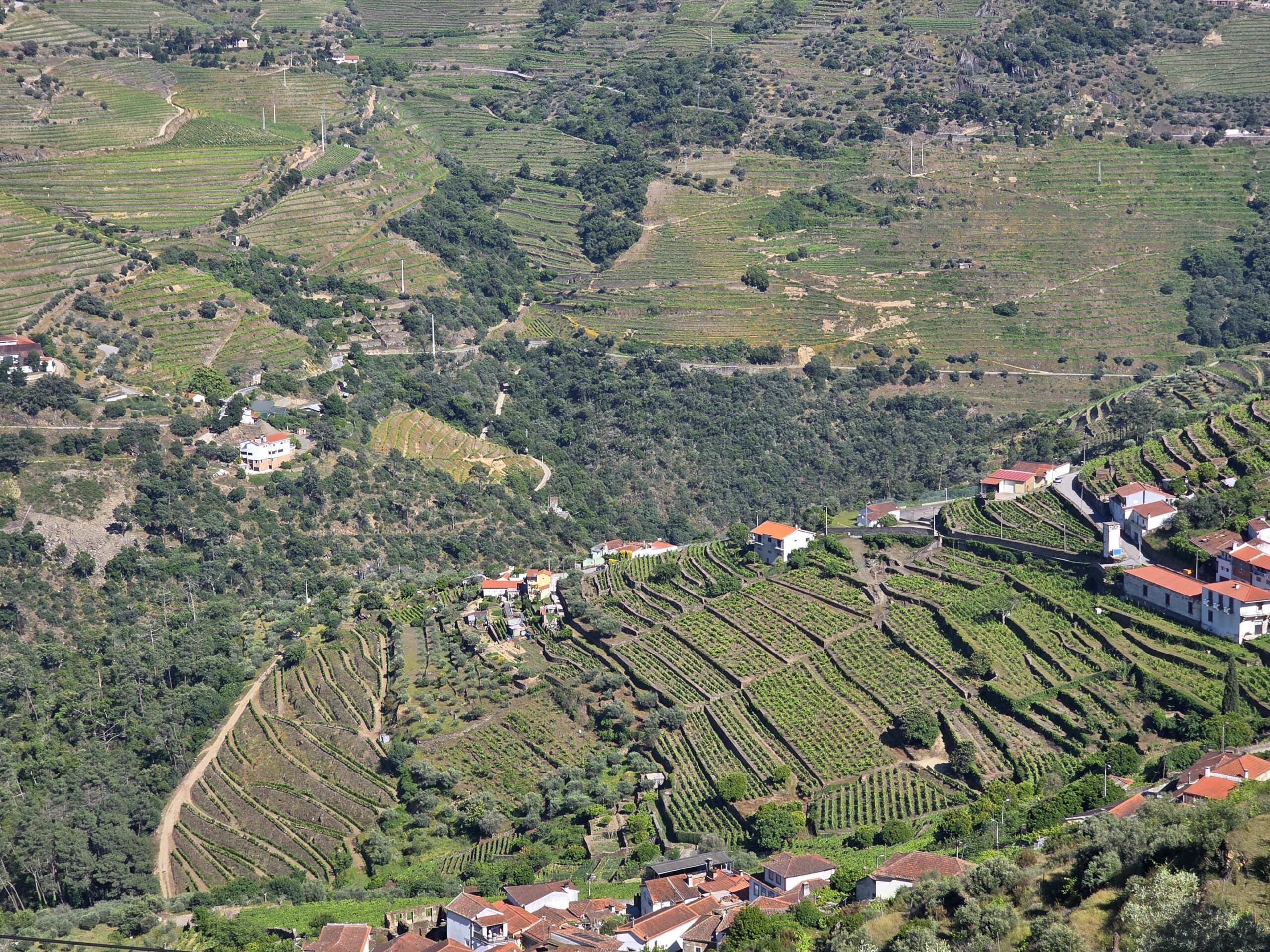 Douro Tour