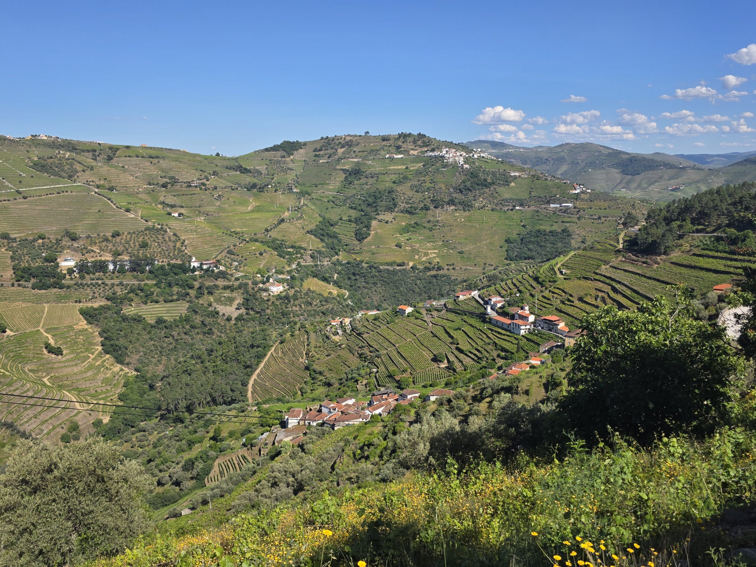 Douro Tour